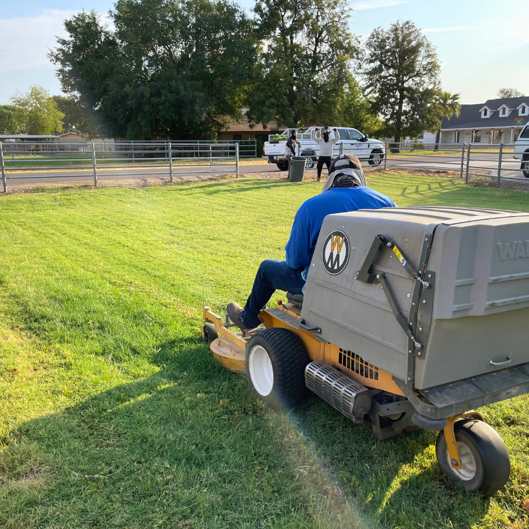 Landscape Maintenance Services