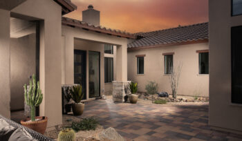 Low-Maintenance Cacti - Landscape Ideas