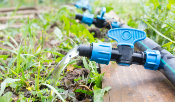 Kevens Landscape Irrigation Tips