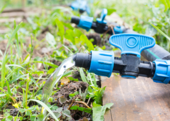 Kevens Landscape Irrigation Tips