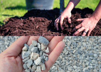Gravel vs. Mulch: Pros and Cons for Arizona Landscaping